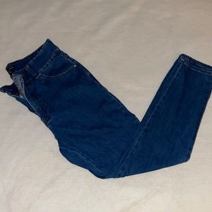 Universal Standard jeans